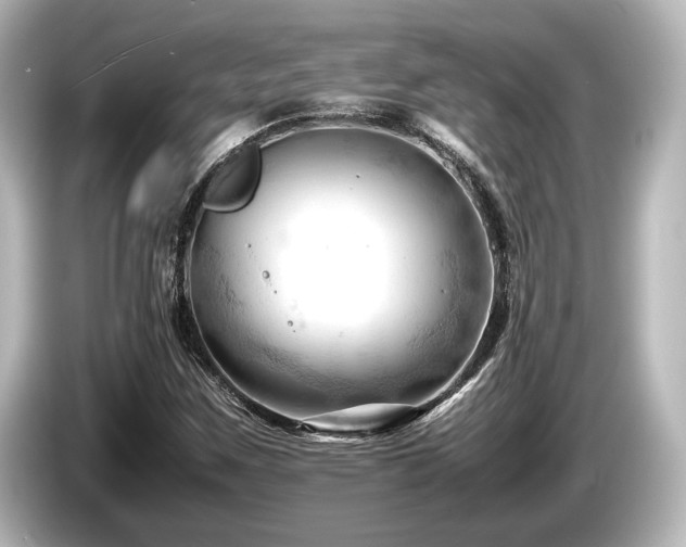 X0000085751259200703161046