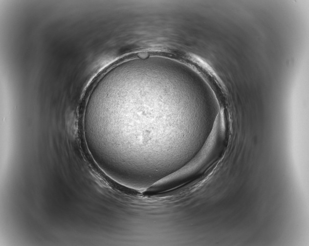 X0000085751260200703161046