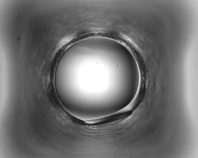 X0000085751261200703161046