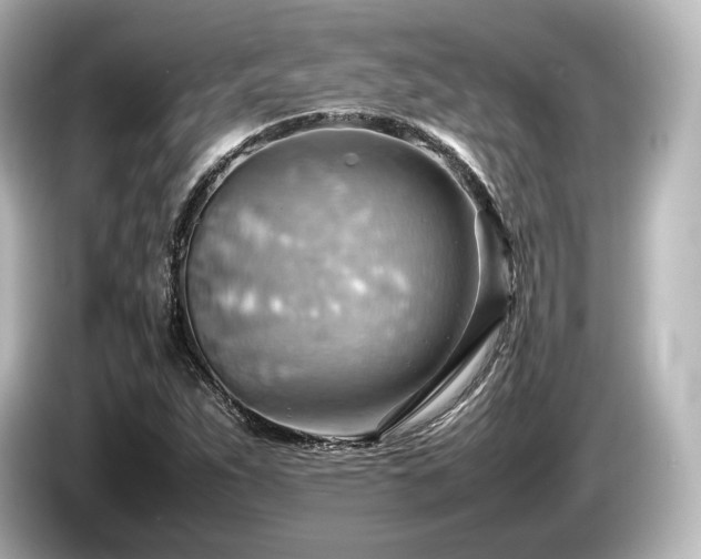 X0000085751263200703161046