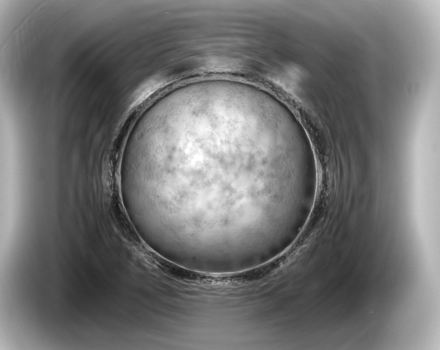 X0000085751266200703161046