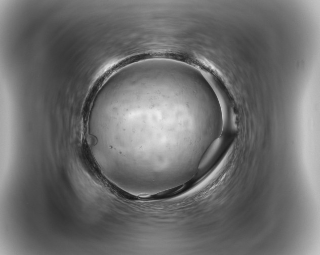 X0000085751267200703161046