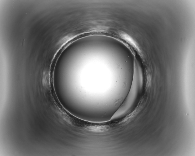 X0000085751268200703161046