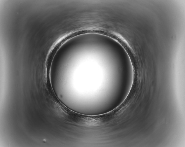 X0000085751270200703161046