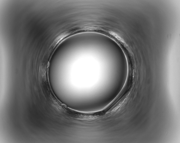 X0000085751273200703161046