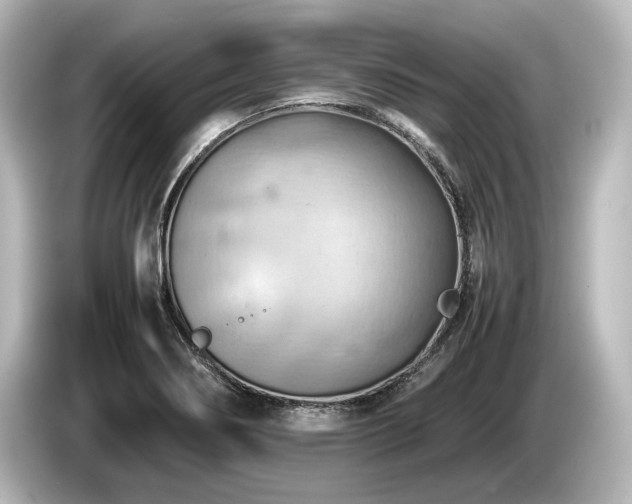 X0000085751274200703161046