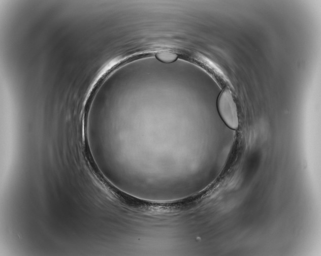 X0000085751275200703161046