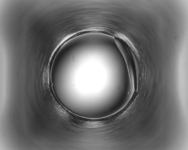 X0000085751276200703161046