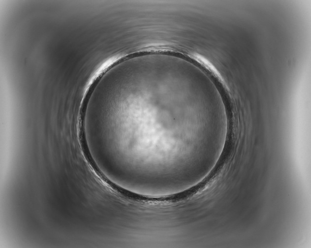 X0000085751277200703161046