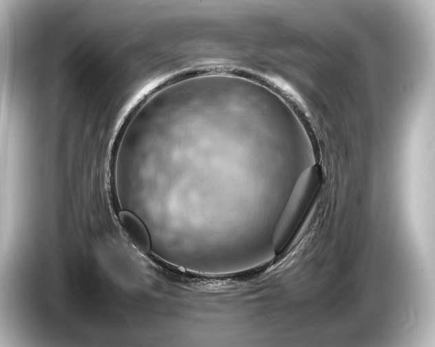 X0000085751279200703161046