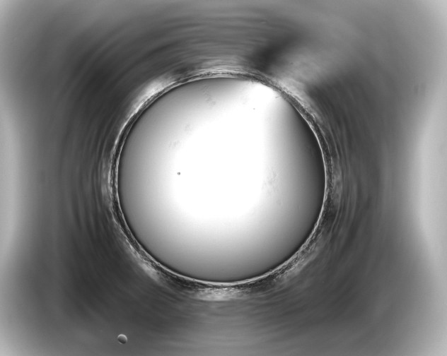 X0000085751282200703161046