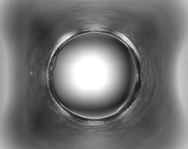 X0000085751285200703161046