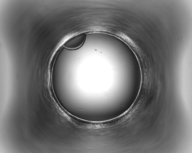 X0000085751286200703161046