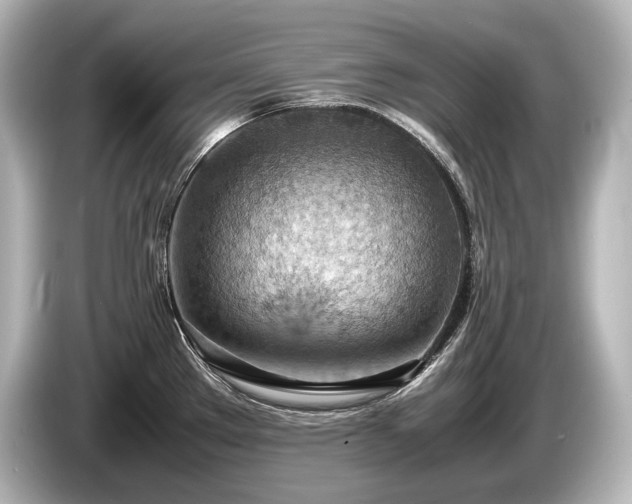 X0000085751289200703161046