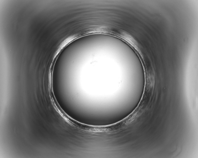 X0000085751290200703161046