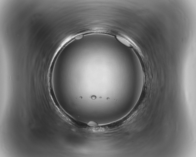 X0000085751291200703161046