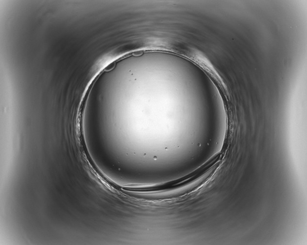 X0000085751292200703161046