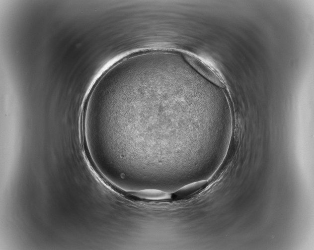 X0000085751295200703161045