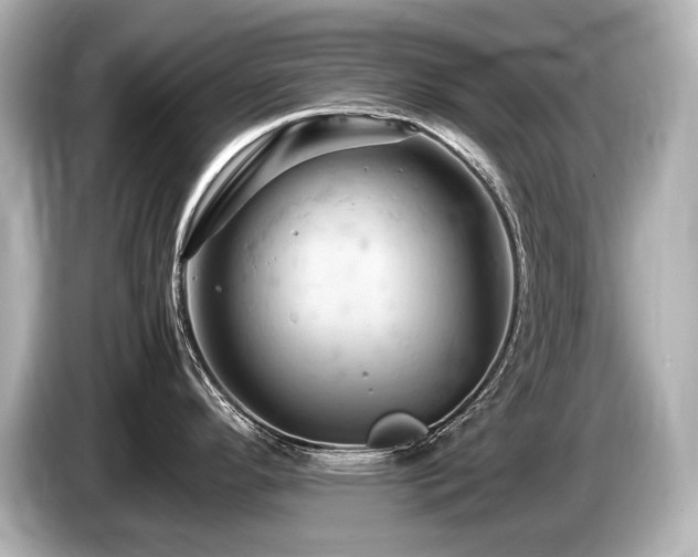 X0000085751296200703161045