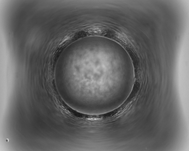 X0000085751297200703161045