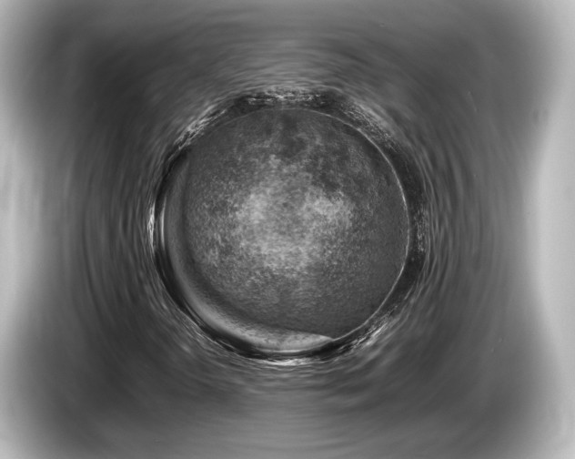 X0000085751298200703161045