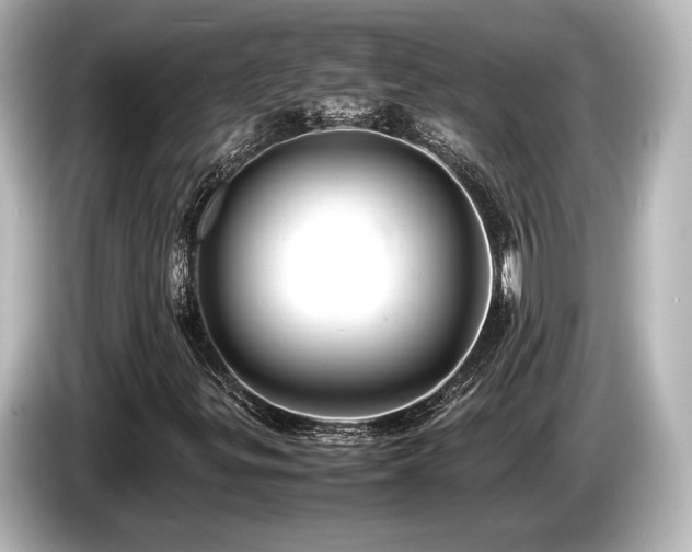 X0000085751299200703161045