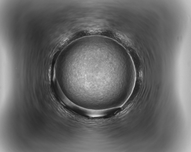 X0000085751300200703161045