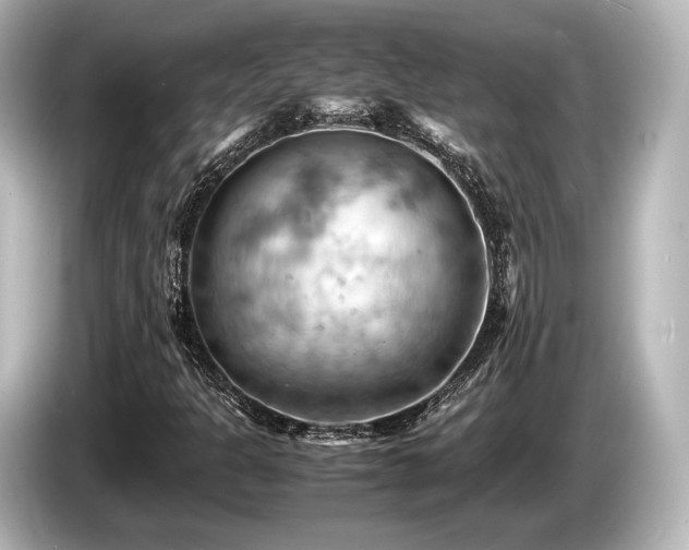 X0000085751301200703161045