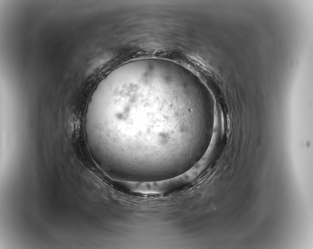 X0000085751302200703161045