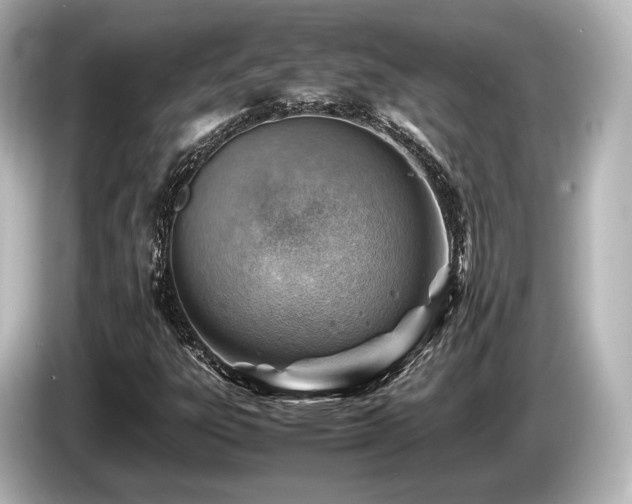 X0000085751303200703161045