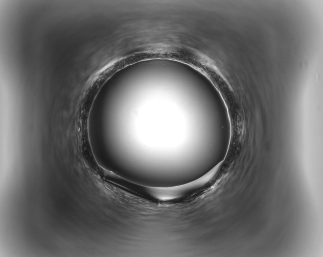 X0000085751304200703161045