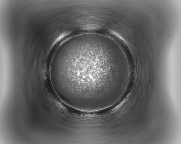 X0000085751306200703161045