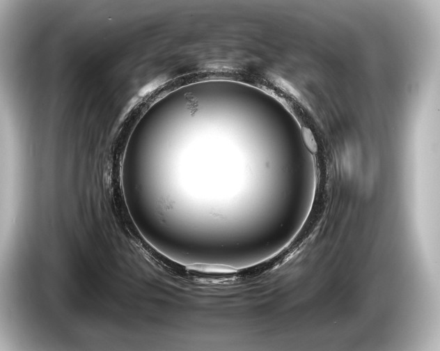 X0000085751307200703161045