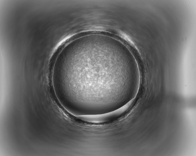 X0000085751312200703161045