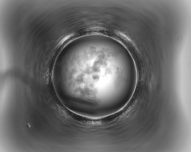 X0000085751313200703161045