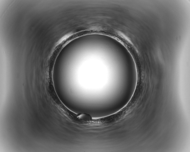 X0000085751315200703161045