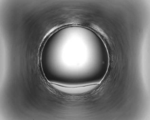 X0000085751316200703161045
