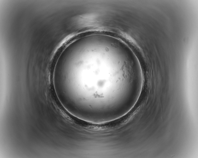 X0000085751318200703161045