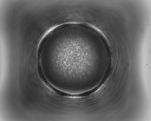 X0000085751319200703161045