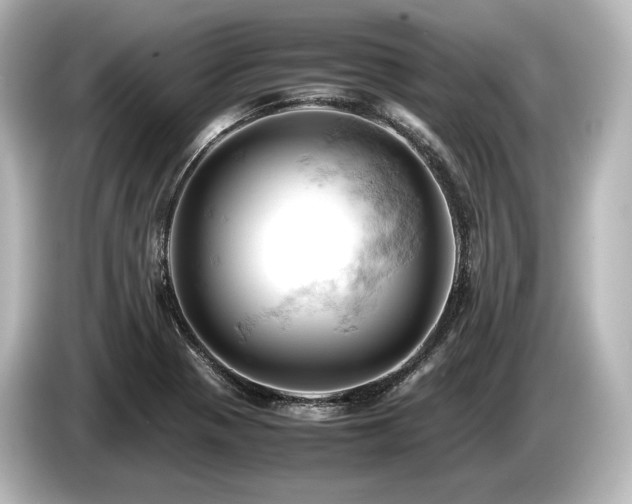 X0000085751321200703161045