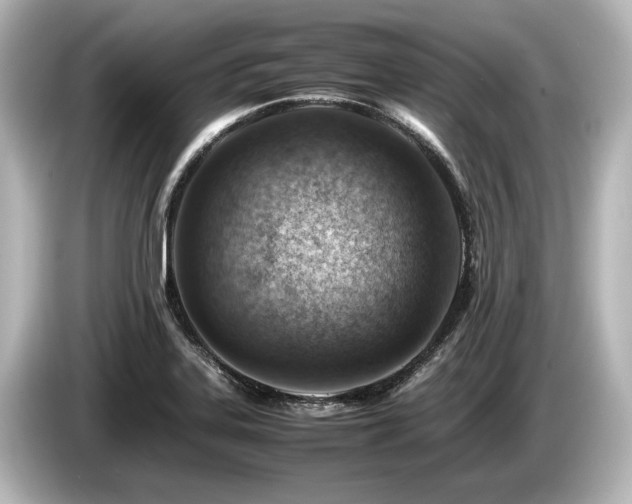X0000085751323200703161045