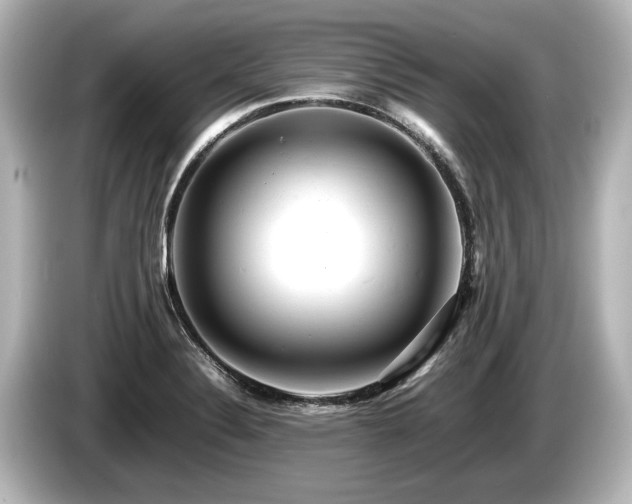 X0000085751324200703161045