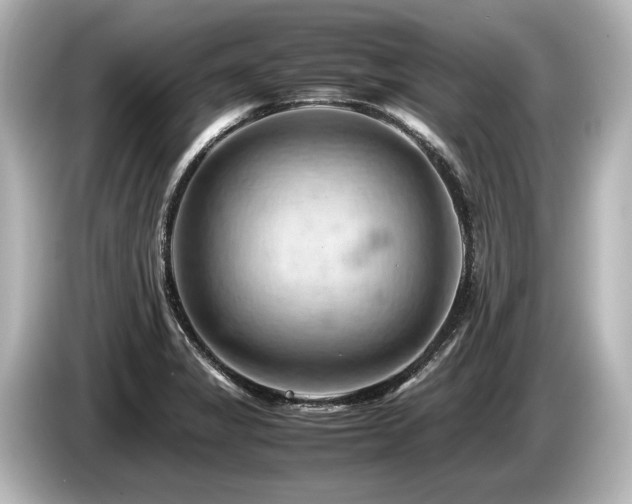 X0000085751325200703161045