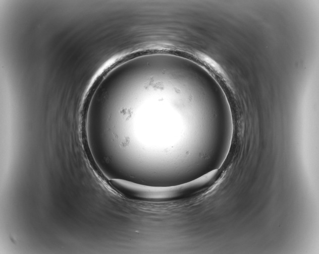 X0000085751326200703161045