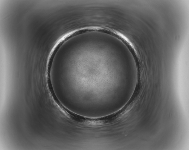 X0000085751327200703161045
