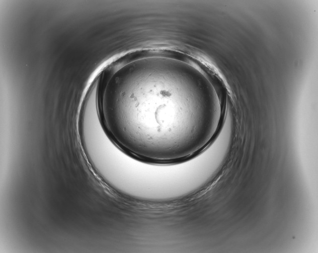 X0000085751328200703161045