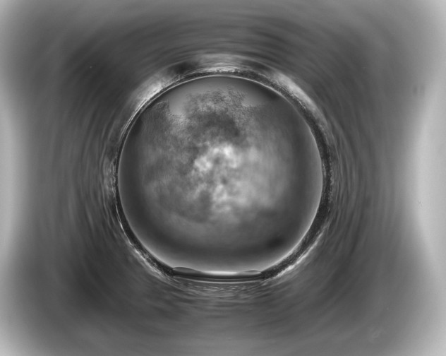 X0000085751329200703161045