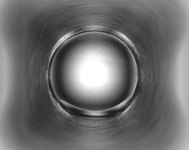 X0000085751330200703161045