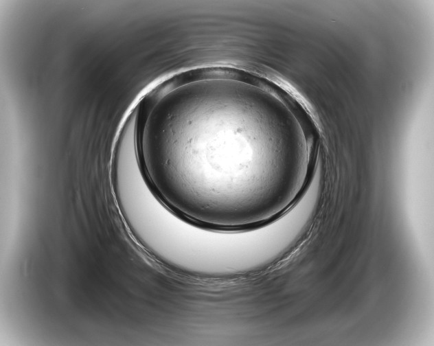 X0000085751332200703161045