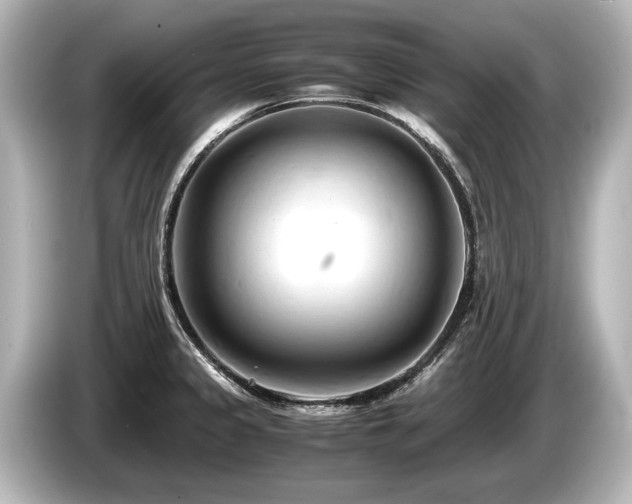 X0000085751333200703161045